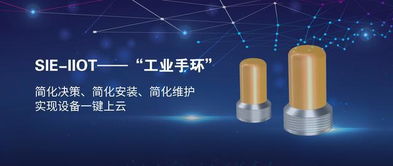 賽意信息攜工業互聯網示范線亮相工業互聯網峰會，以數字化力量助推中國智造升級轉型